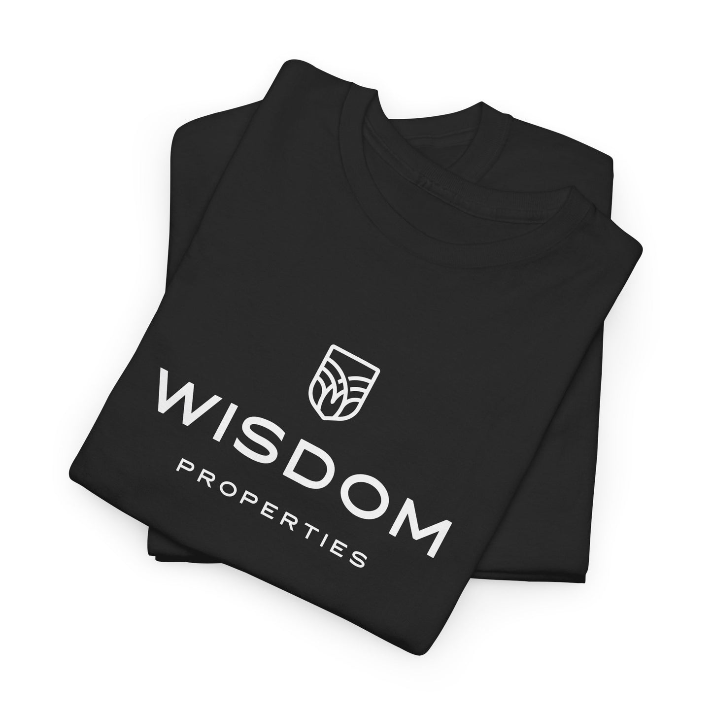04-002 Wisdom Unisex Heavy Cotton Tee