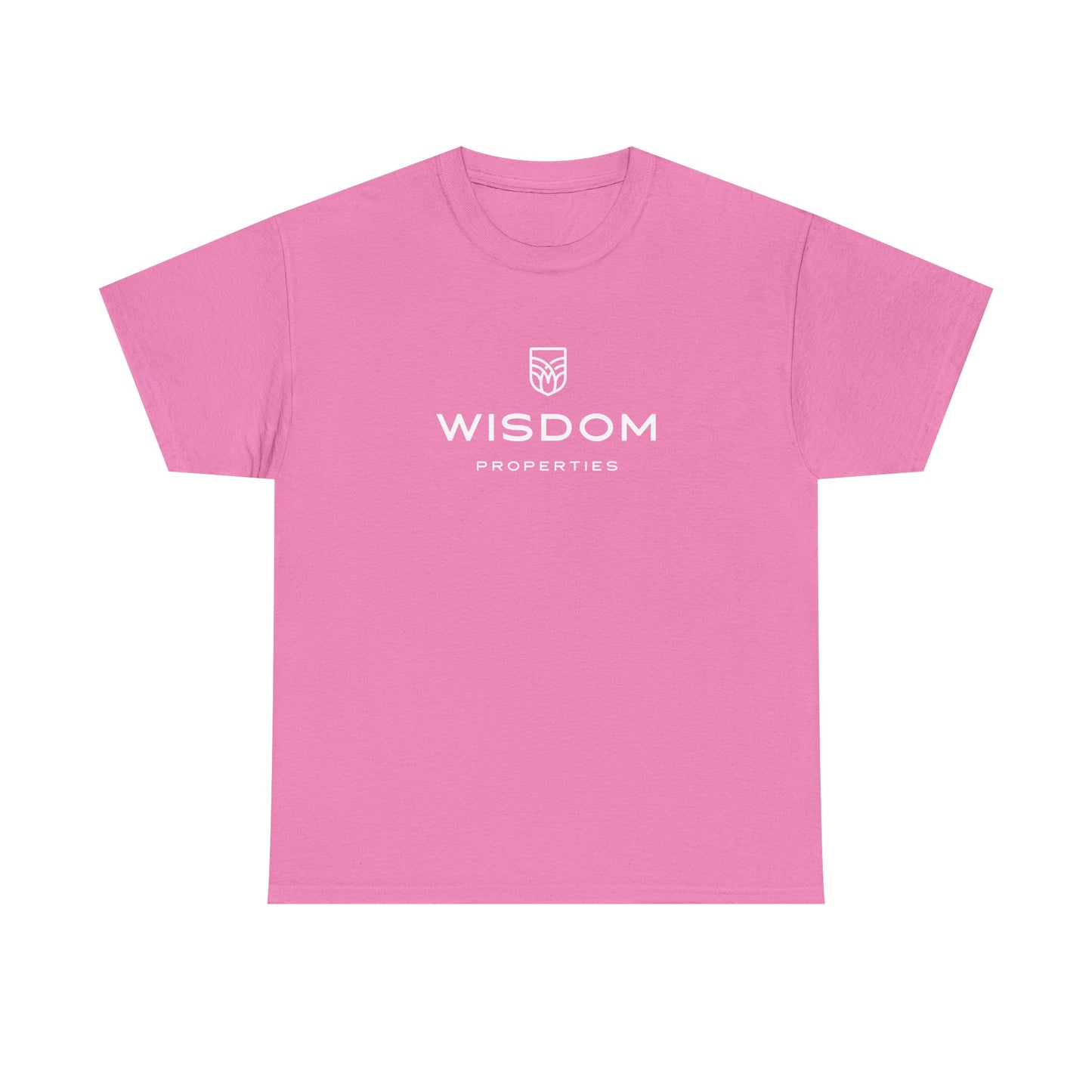 04-002 Wisdom Unisex Heavy Cotton Tee