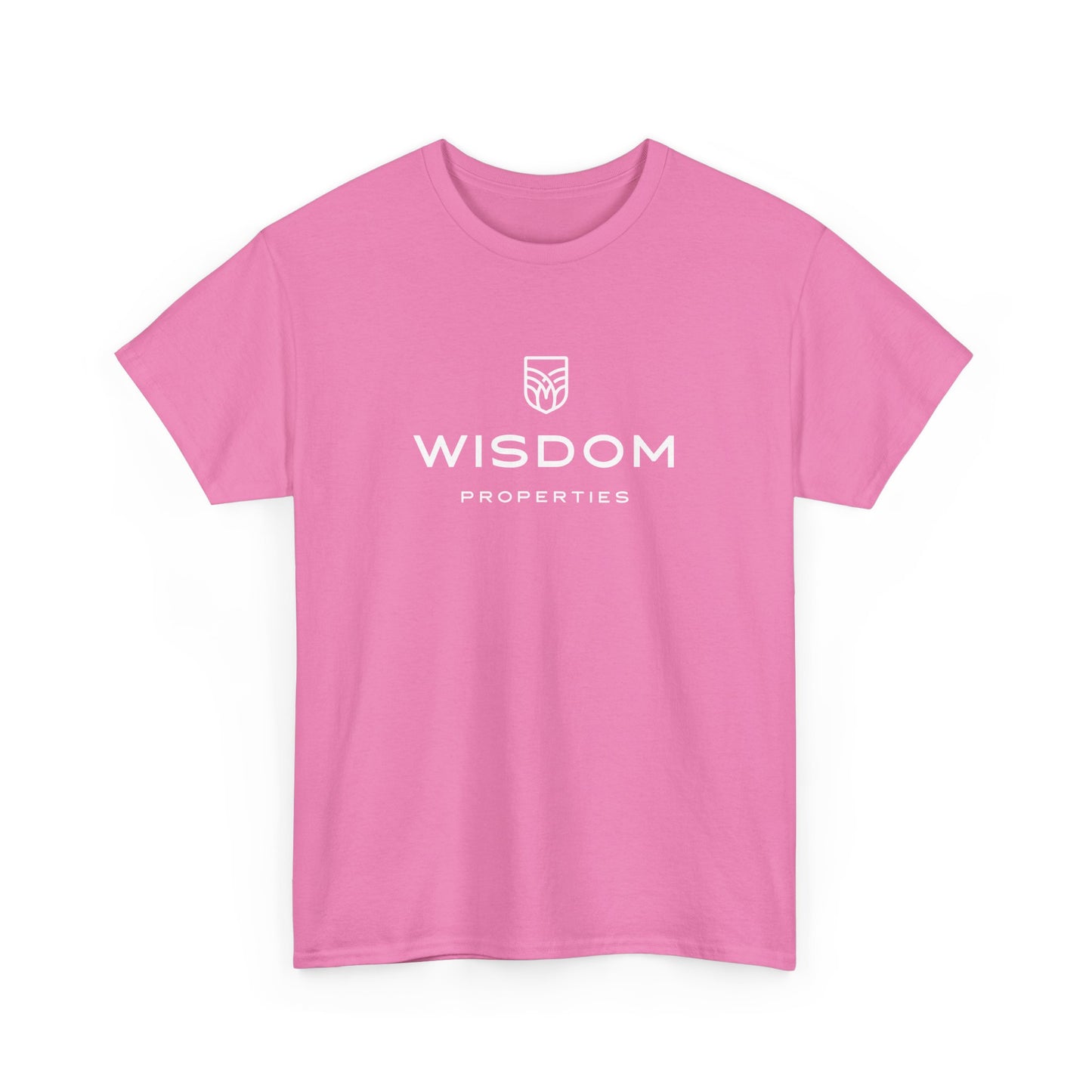 04-002 Wisdom Unisex Heavy Cotton Tee